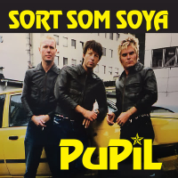 Sort som soya