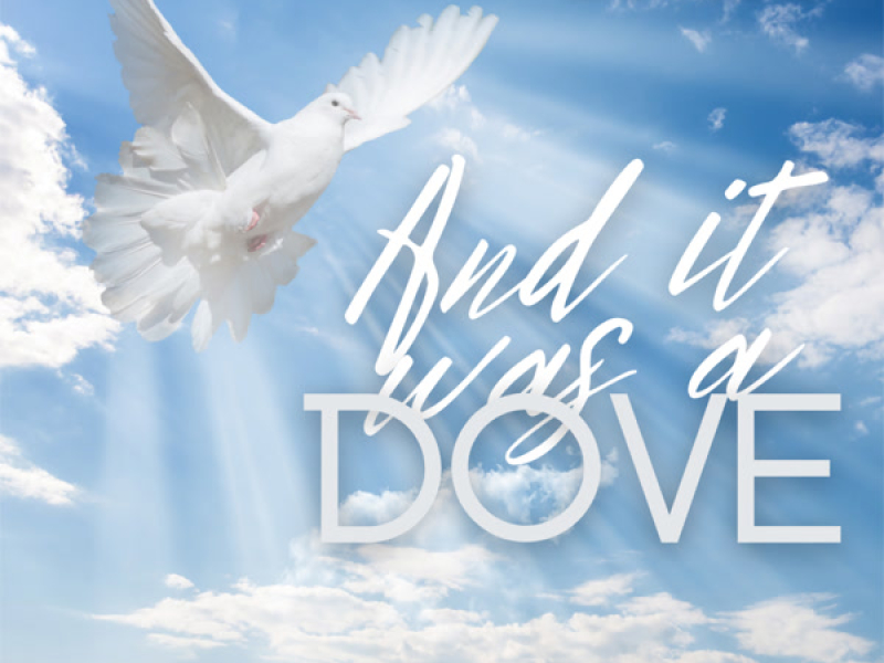 And It Was A Dove (Single)