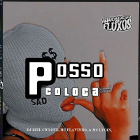 Posso Colocar ( Verão 2025 ) (Single)
