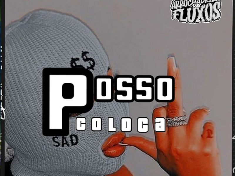 Posso Colocar ( Verão 2025 ) (Single)