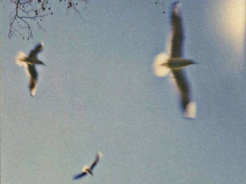 late night talks. (Single)