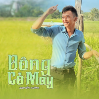 Bông Cỏ May (Single)