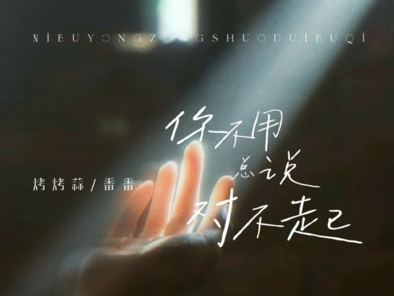 你不用总说对不起 (大大怪将军小小怪下士柔情版) (Single)