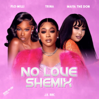 No Love Shemix (Single)