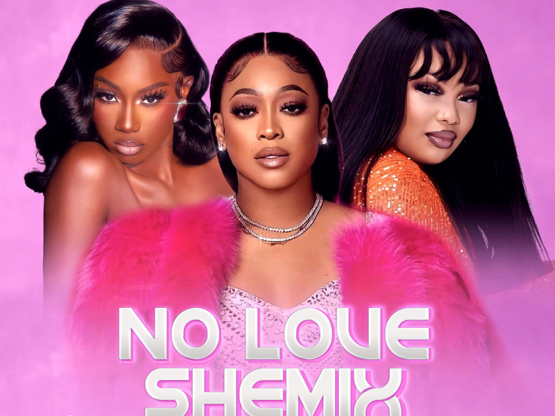 No Love Shemix (Single)