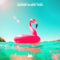 Summer In New York (Single)