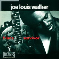 Blues Survivor