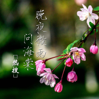 晚夜微雨问海棠 (Single)