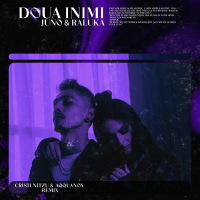 Doua inimi (Cristi Nitzu & AQQUANOX Remix) (Single)