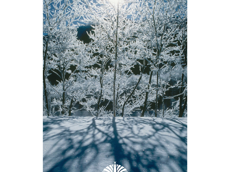 空が鳴っている／女の子は誰でも (Single)