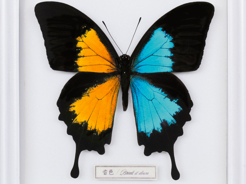 Neiro / Break It Down