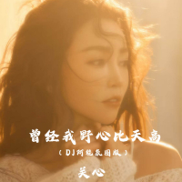 曾经我野心比天高 (DJ阿能氛围版) (Single)