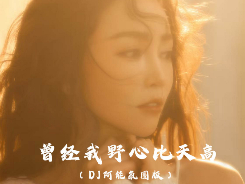 曾经我野心比天高 (DJ阿能氛围版) (Single)
