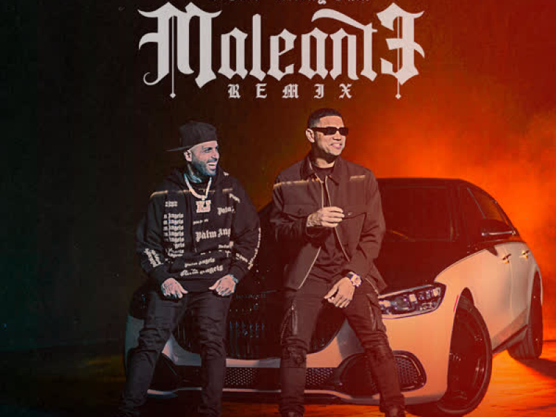 Maleante (Remix) (Single)