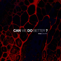 We Can Do Better (Radio Edit) (Single)