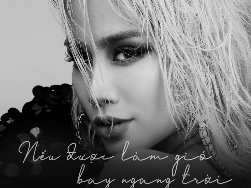 Nếu Được Làm Gió Bay Ngang Trời (Single)