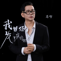 我曾经发了疯的想 (闽南语DJ默涵版) (Single)