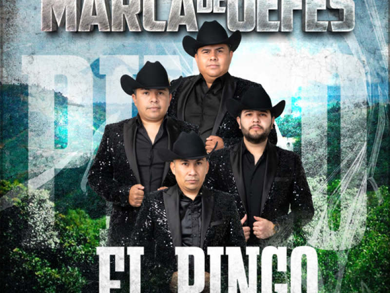 El Pingo (Single)