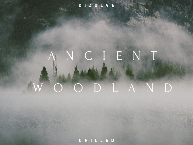 Ancient Woodland (Single)