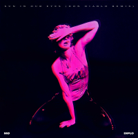 Sun In Our Eyes (Don Diablo Remix) (Single)