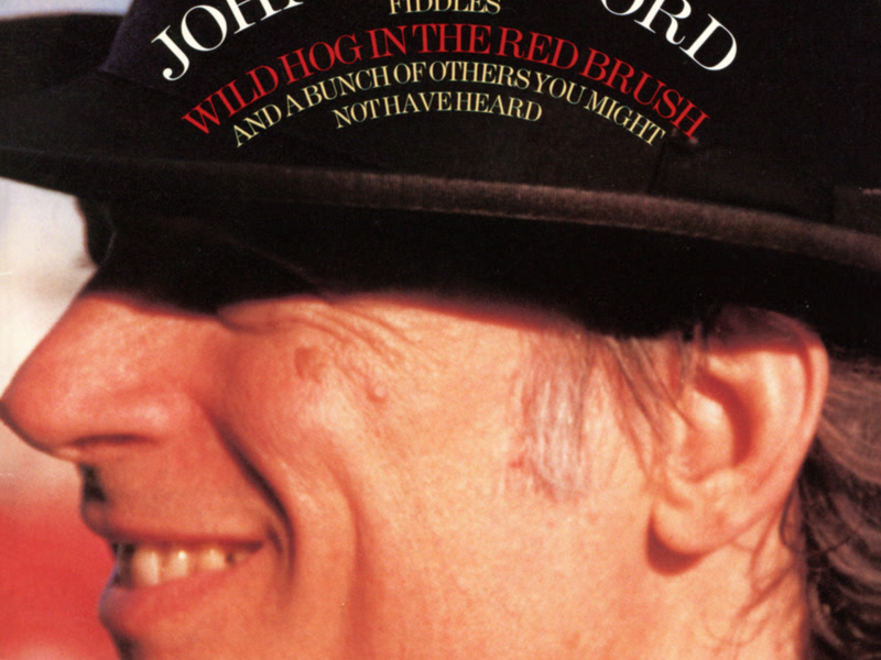 Wild Hog In The Red Brush