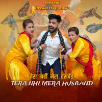 Tera Nhi Mera Husband (Single)