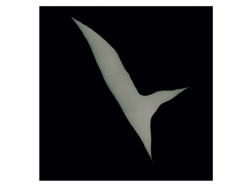 Paganini: 24 Capricci, Op. 1