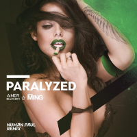 Paralyzed (Numan Paul Remix) (Single)