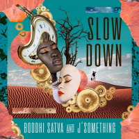 Slow Down