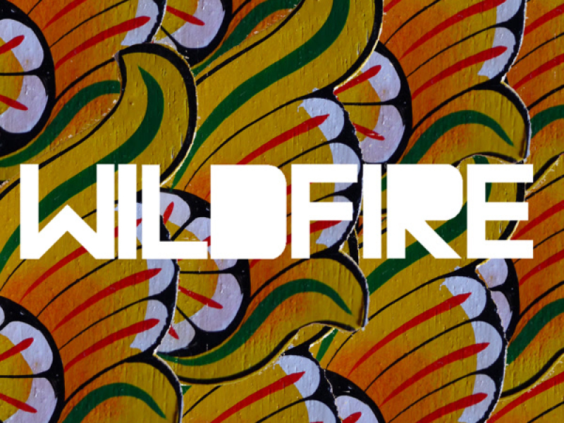 Wildfire (Single)