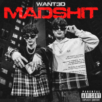 MAD SHIT (Single)