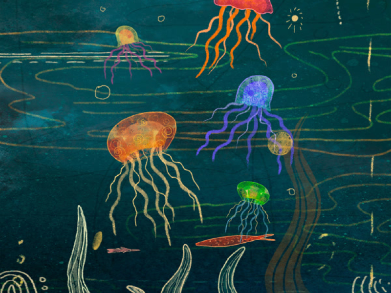Jellyfish Reef (Single)