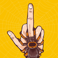 Florida’s Finest (Single)