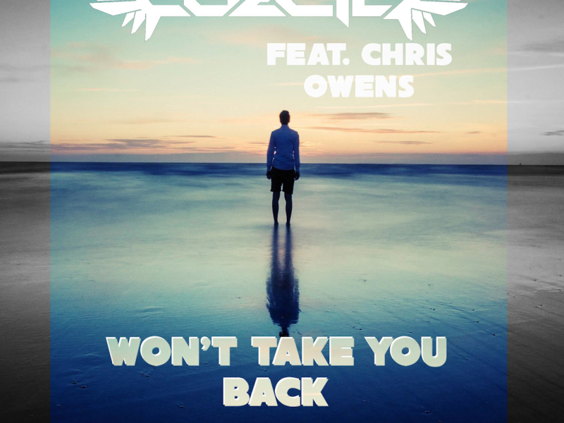 Won't Take You Back (feat. Chris Owens) (Single)