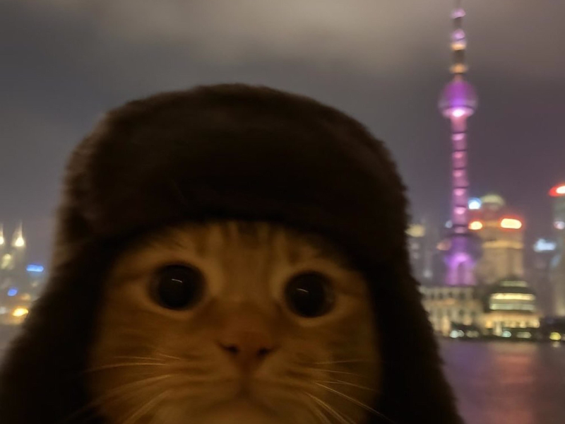 SAMI DID (feat. Conway the Machine, Dave East, Styles P & Rick Ross) (Single)