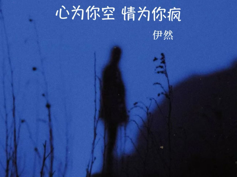 心为你空情为你疯 (Single)