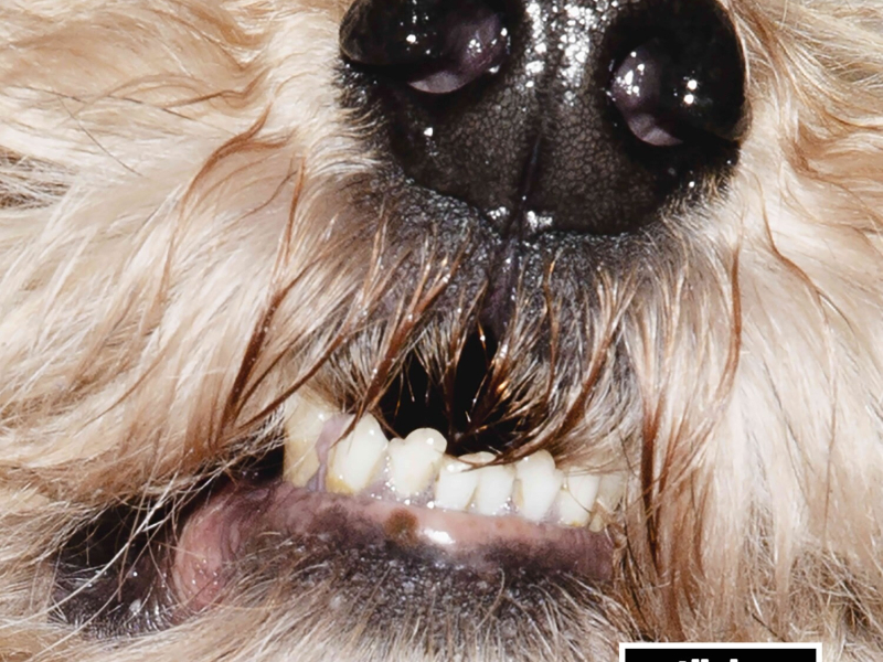 Two weeks of Gloria (Single)