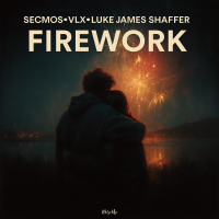 Firework (Single)