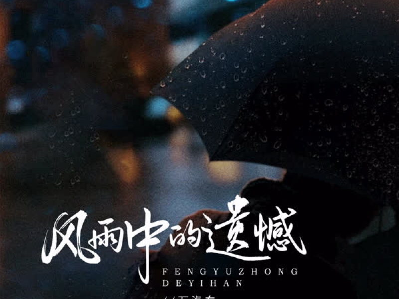 风雨中的遗憾 (Single)