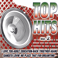 Top Hits Vol. 2