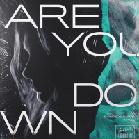 Are You Down (Single)