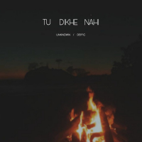 Tu Dikhe Nahi (Single)