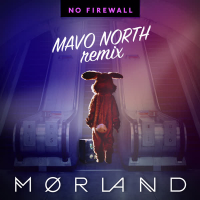 No Firewall (Single)