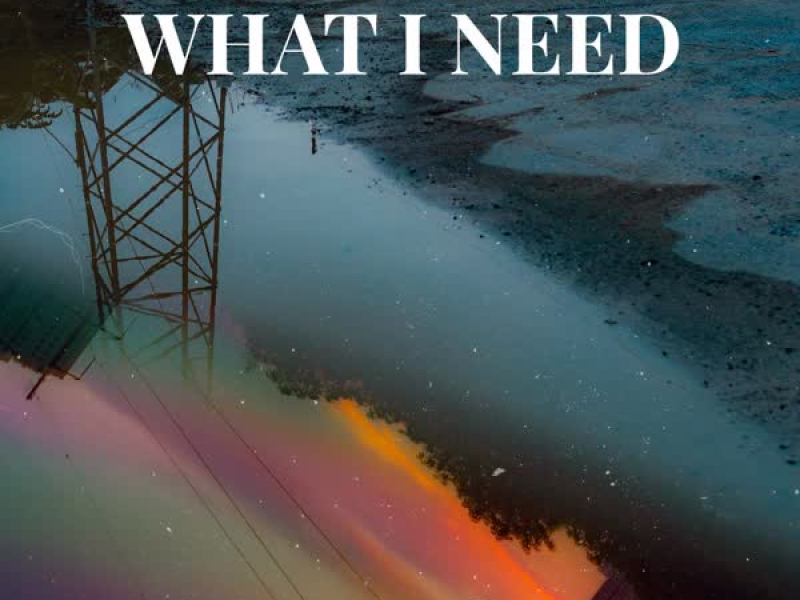 What I Need (feat. MEIRA) (Single)