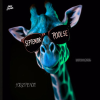 Forget Me Nots (Single)