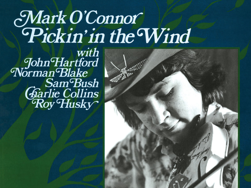 Pickin' In The Wind