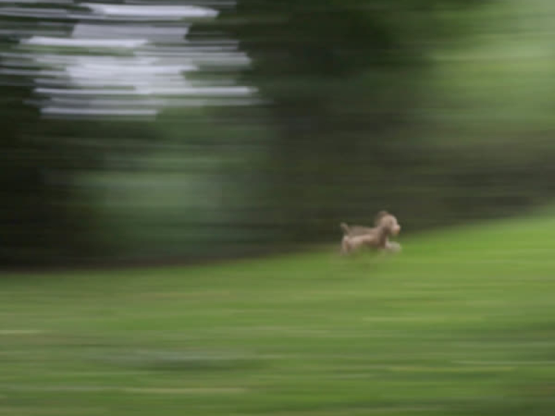 milkshake poem (Single)