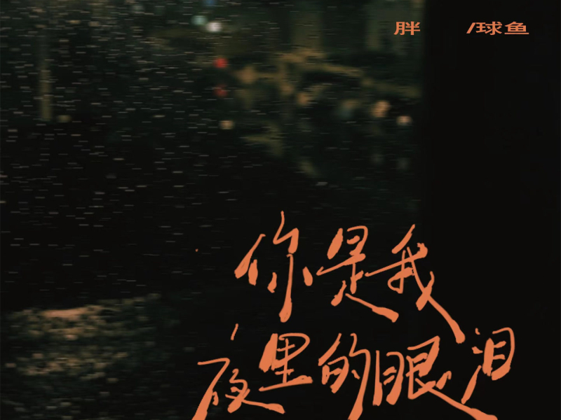 你是我夜里的眼泪 (EP)