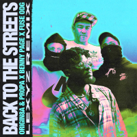Back To The Streets (Lexyz Remix) (Single)