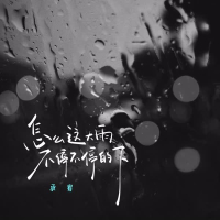 怎么这大雨不停不停的下 (Single)